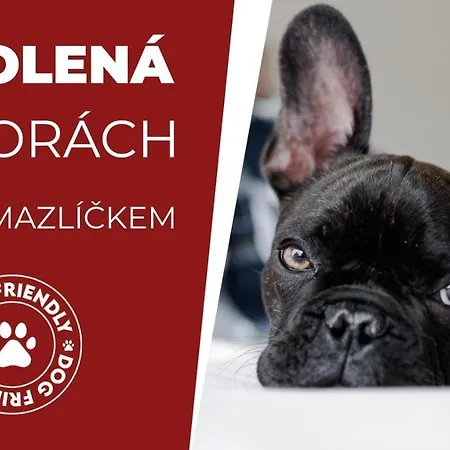 Horsky Montana 호텔 Špindlerŭv Mlýn