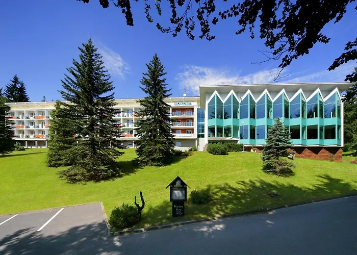 Hotel Horsky Montana 3*