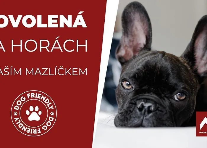 Horsky Montana Hotel Špindlerŭv Mlýn