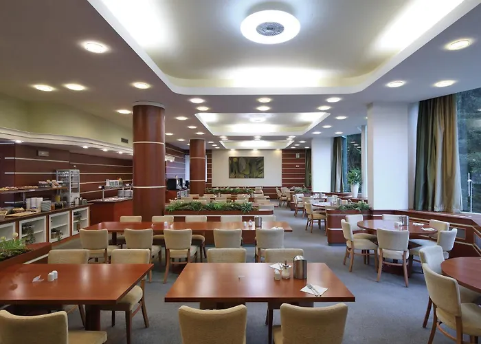 Hotel Horsky Montana 3*