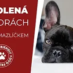 Horsky Montana Hotel Špindlerŭv Mlýn