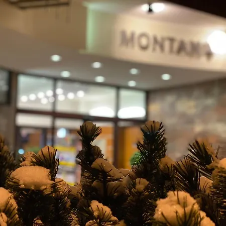 Interhotel Montana 3*