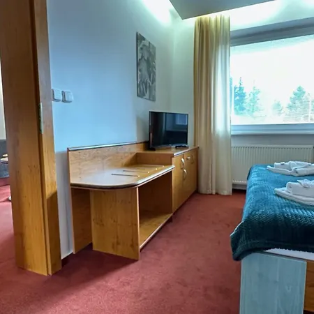 Interhotel Montana