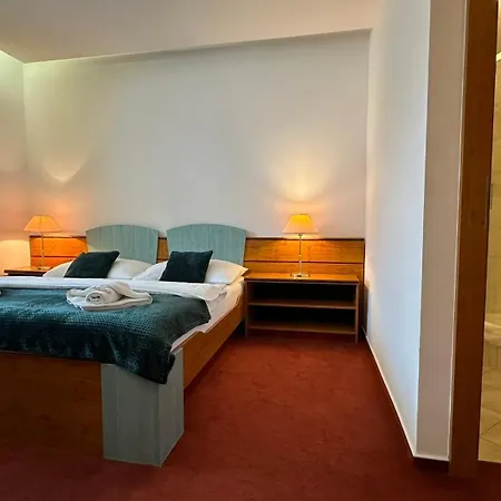Interhotel Montana 3*
