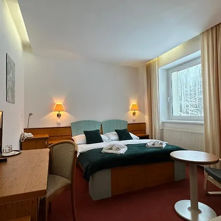 Hotel Interhotel Montana