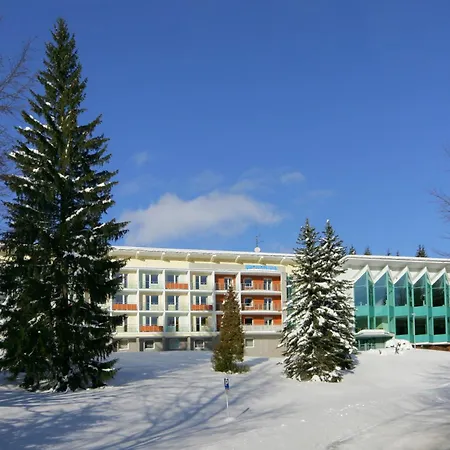 Hotel Interhotel Montana 3*