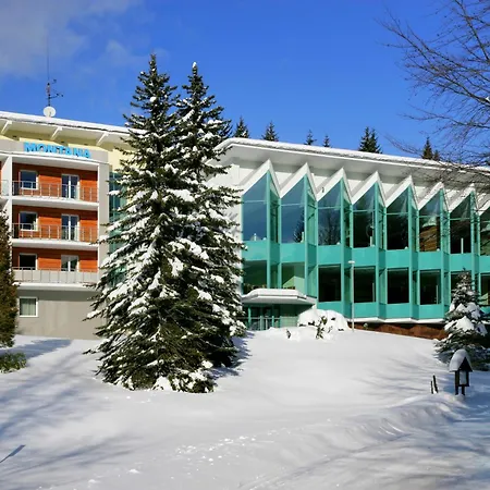 Hotel Interhotel Montana 3*