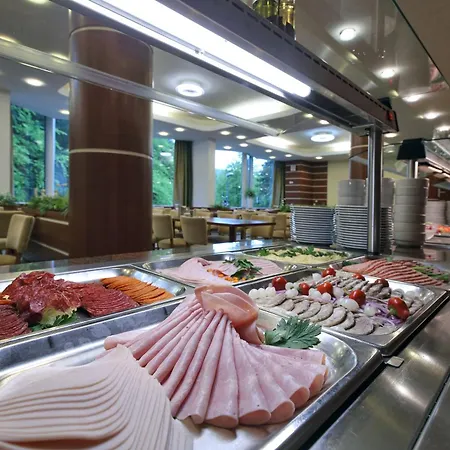 Otel Horsky Montana 3*