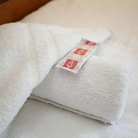 Interhotel Montana