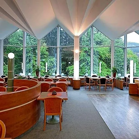 Horsky Montana 3* Špindlerŭv Mlýn