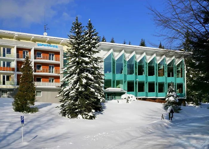 Hotel Horsky Montana 3*